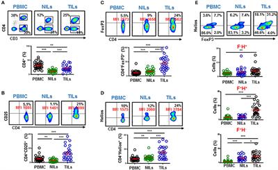 Immune Checkpoints in Circulating and Tumor-Infiltrating CD4+ T Cell Subsets in Colorectal Cancer Patients